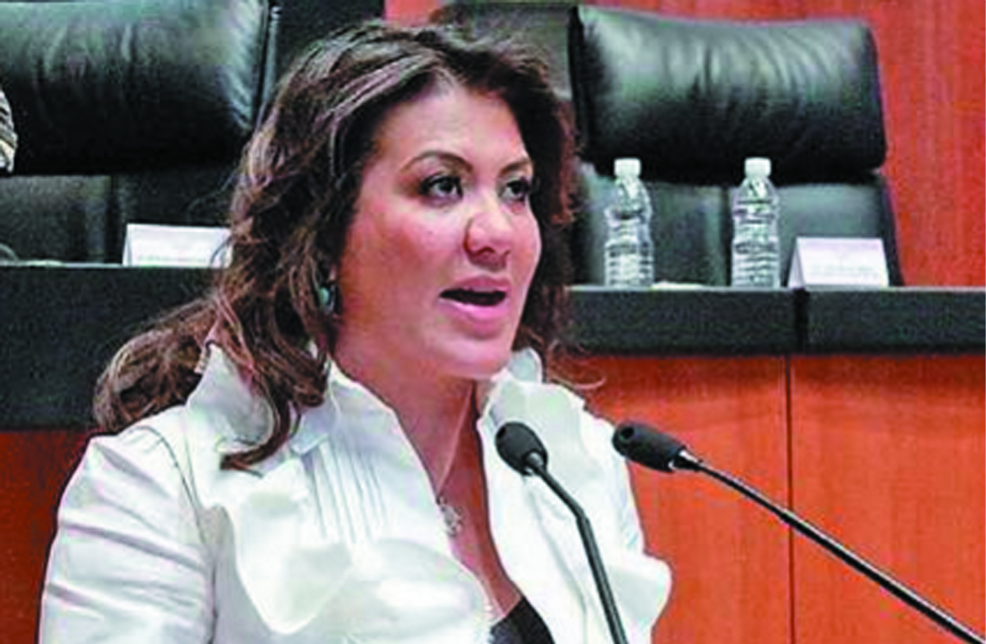 Senado discutirá pun to de acuerdo presen tado por Mónica Arri ola Gordillo