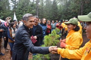 NOTIREDMEXICO REFORESTACIÓN EN EL SUELO DE CONSERVACIÓN DE LA CDMX