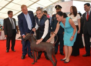PRIMERA EXPOSICION CANINA DE LA CDMX