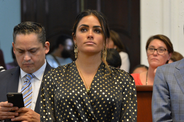 Reformar Código Penal para sancionar a quienes violen el uso del suelo