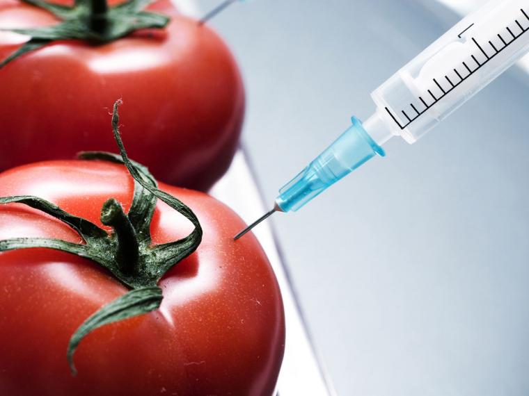 Alimentos Transgénicos y porque son tan polémicos.