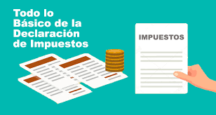 Declaración de Impuestos Anual