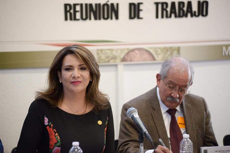 Inaplazable por Gobierno Federal atender problema sargazo: Diputada Teissier