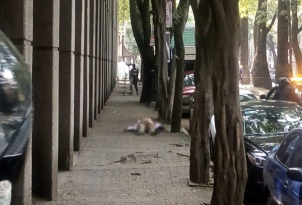 Intentan robar auto a periodista en la Condesa y presunto asaltante muere