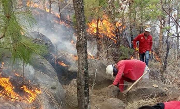 Van cinco Incendios en la CDMX durante lo que va del día de hoy