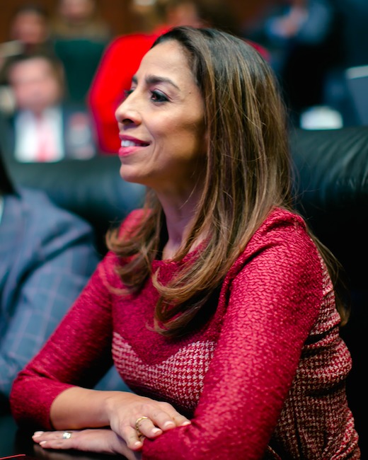 Austeridad, obligación de todos los Gobiernos: Marybel Villegas