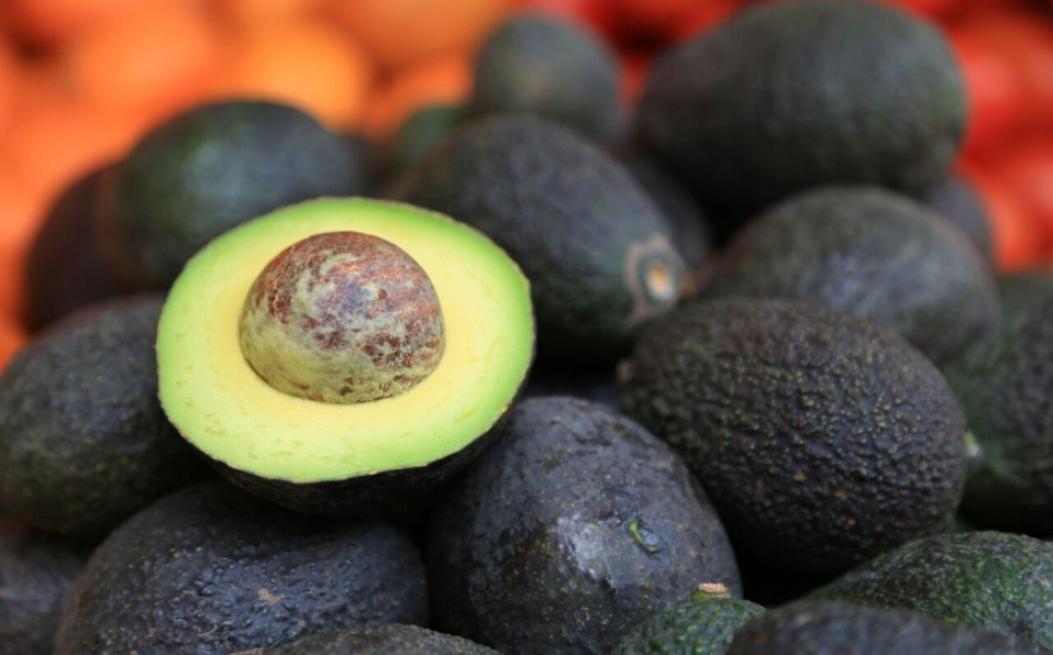 El Precio del Aguacate No Bajara en las Próximas Semanas