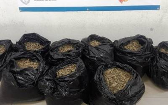 En predio de Iztapalapa encuentran hierba verde con características de la mariguana