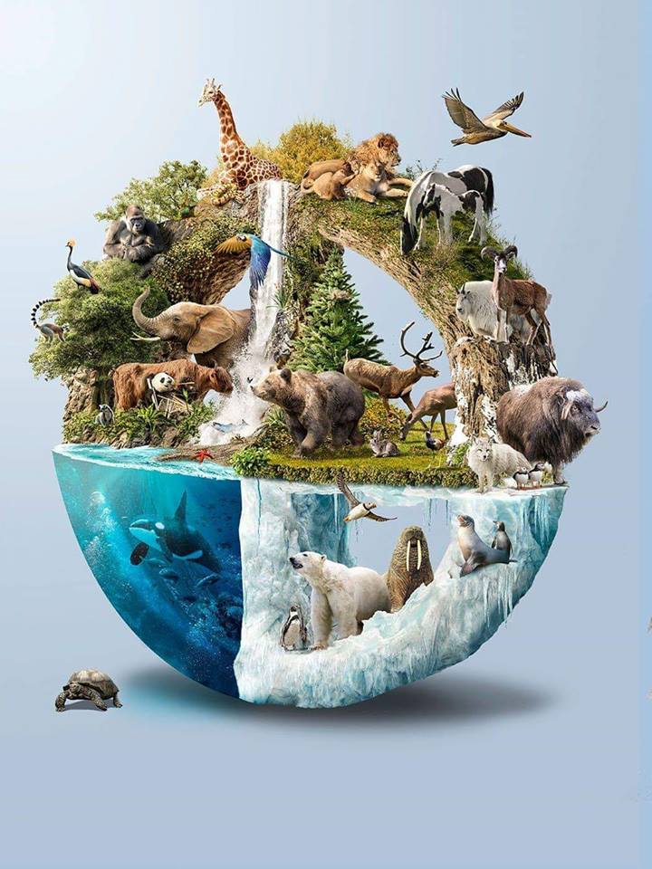 La mortífera huella de la humanidad