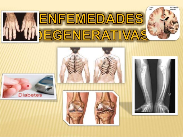 Fundación Ananda, el espacio en México enfocado en la medicina cannábica.