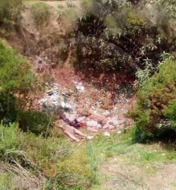 Hallan el cuerpo de una niña de 12 años