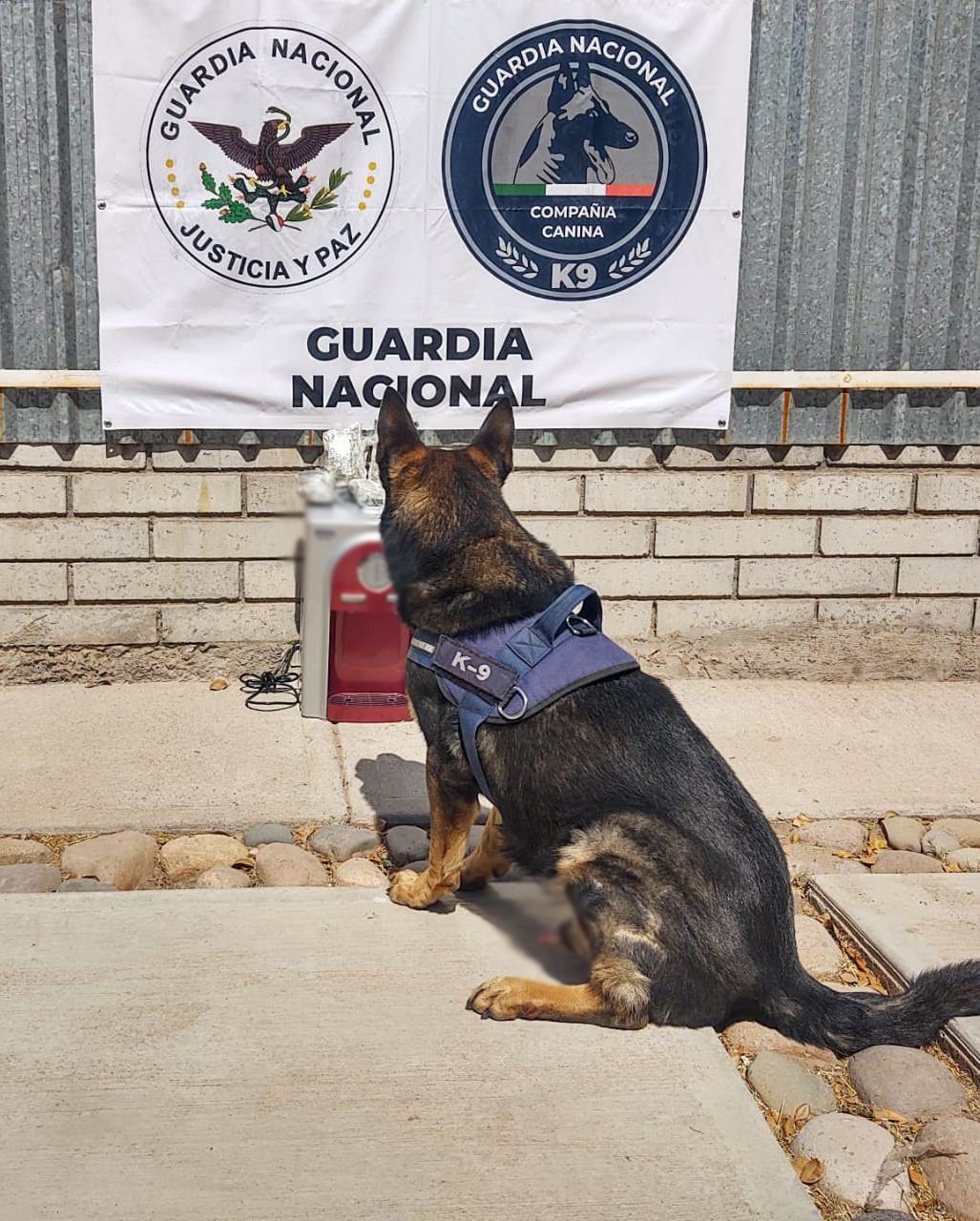 Binomios de la GN encuentra cinco envoltorios de metanfetamina