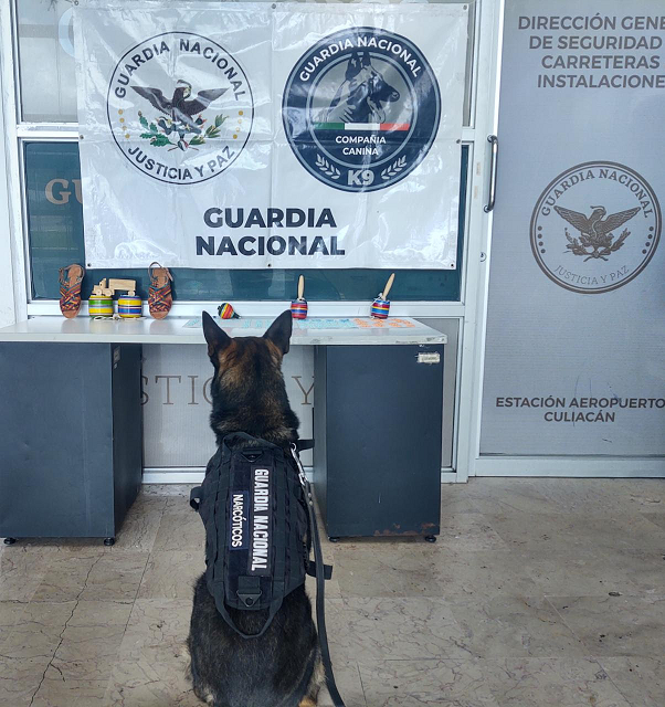 GN decomisa más de mil pastillas de fentanilo ocultas en baleros y huaraches