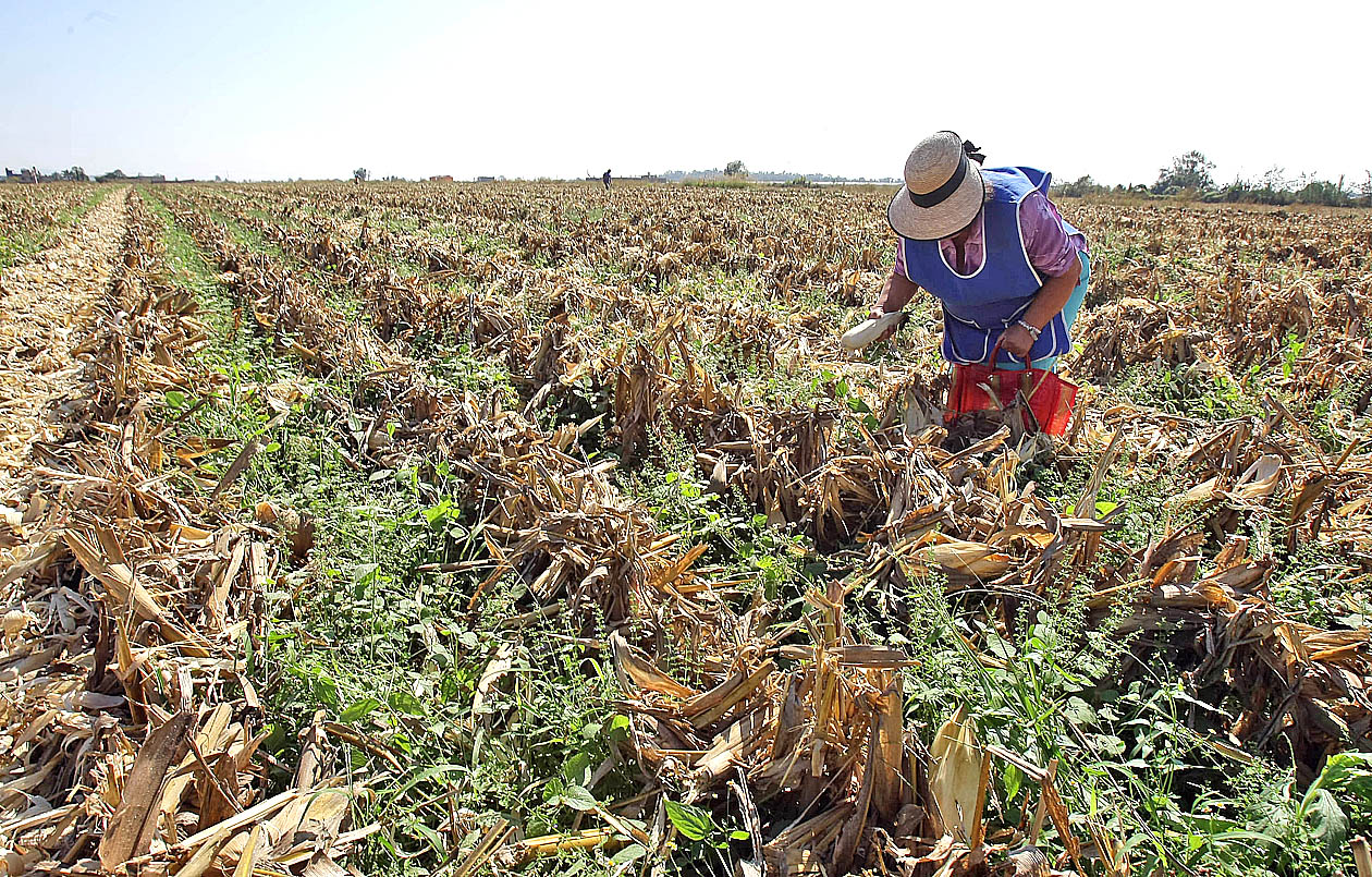 Líderes Políticos/ Retroceso en el campo