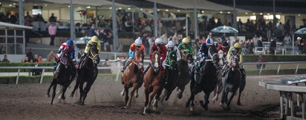 El Hipódromo de las Américas abrirá a partir del próximo lunes