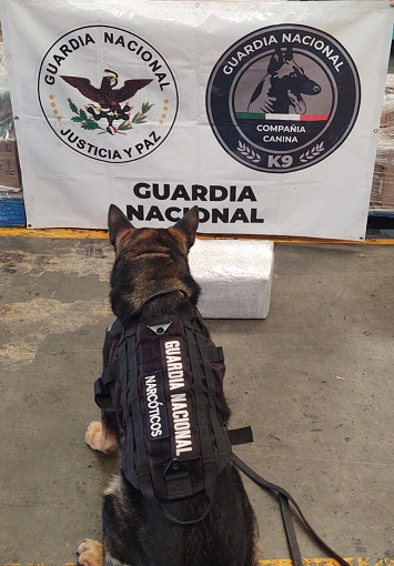 Binomios caninos de la GN detectan metanfetamina en una caja de herramientas