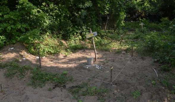 Exhuman 13 cuerpos humanos de una fosa clandestina en Veracruz