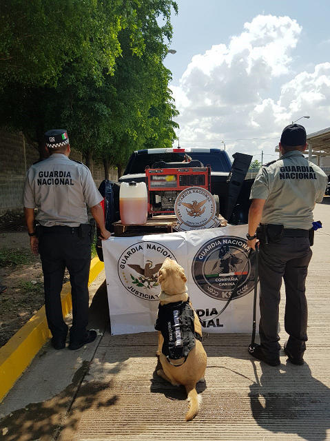 GN localiza marihuana en un tanque de combustible