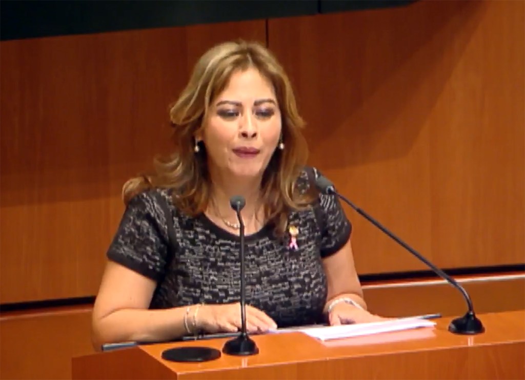 Urgen senadores a SCT y empresas de internet ampliar cobertura y accesibilidad