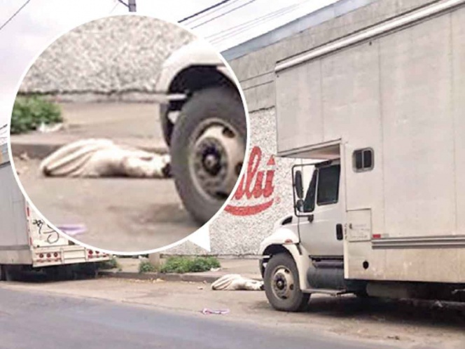Encuentran a encobijado en Azcapotzalco