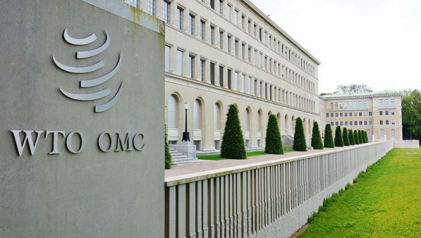 OMC elegirá por primera vez a una mujer como su titular