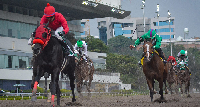 Abrirá el Hipódromo de las Américas a puerta cerrada
