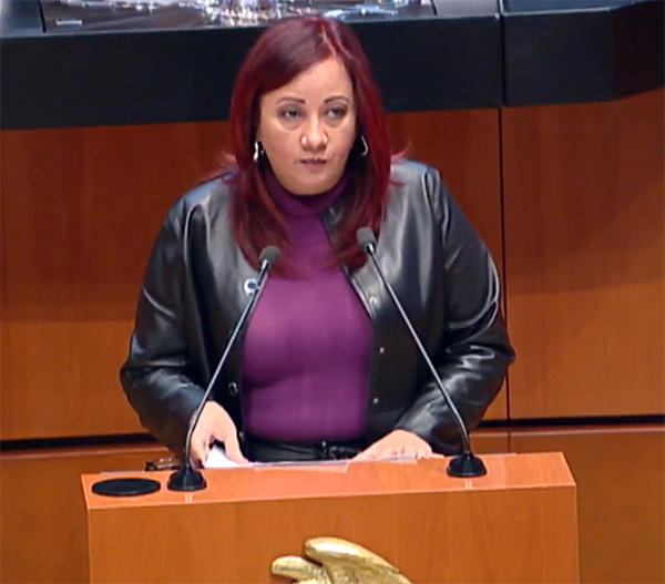 Debe ser un derecho humano el servicio de suministro eléctrico: PT
