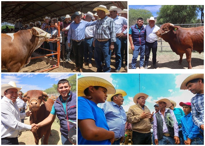El campo, sector estratégico para México que impulsa el presidente Andrés Manuel López Obrador, señala Davi d Monreal Ávila
