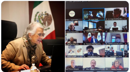 IP interesada en apoyar al Gobierno Federal con el financiamiento de vacunación: Sánchez Cordero