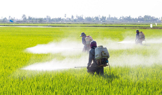 Productores desmienten daños del glisofato