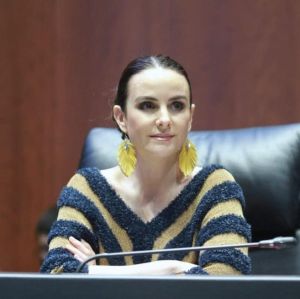 En México alinear planes de desarrollo local con agenda 2030, proponen en el Senado.