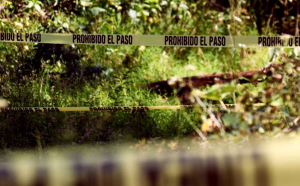Dejan nueve cadáveres abandonados en el sur de Veracruz
