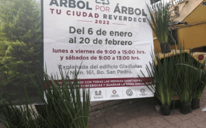 En Xochimilco instalan Centros de Acopio para reciclar árboles de Navidad