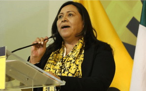 PAN y PRD prevén que la cuesta de enero será difícil por incremento a productos básicos e impuestos