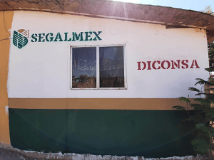 Remueven del cargo a funcionarios de Segalmex, Diconsa y LIconsa por actos de corrupción
