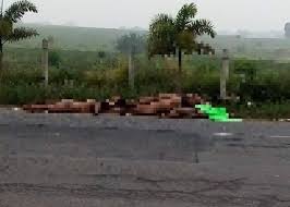 Abandonan nueve cuerpos humanos sin vida en carretera de Veracruz