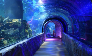 FGJ investiga la muerte de una bióloga en el Acuario Inbursa
