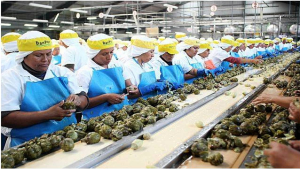 Ómicron pega a la actividad económica en enero de 2022, baja 0.1%: INEGI