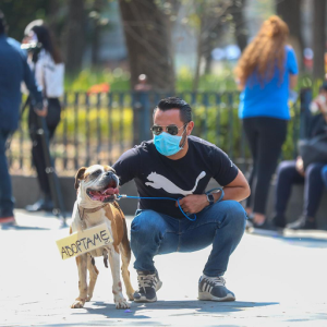 Se inicia la construcción del hotel para perros y gatos abandonados en la Alcaldía Cuauhtémoc