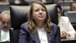 Prevalece interés público sobre proyecto de la SCJN sobre Reforma Eléctrica: Ortiz Ahlf