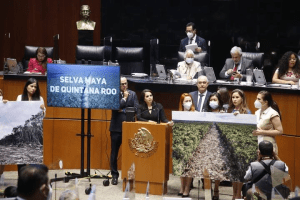 Morena y sus aliados impiden que funcionarios involucrados en el Tren Maya comparezcan ante el Senado