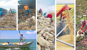 SAT permitirá que contribuyentes del campo y de pesca paguen en efectivo los combustibles