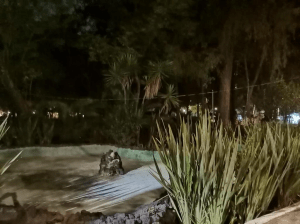 Alcaldía Cuauhtémoc solicita a la CFE restablecer la iluminación en el Parque España