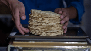 Es muy difícil mantener el kilo de tortillas en 20 pesos: Consejo Rector