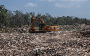 Juez otorga suspensión definitiva contra el Tramo 5 del Tren Maya