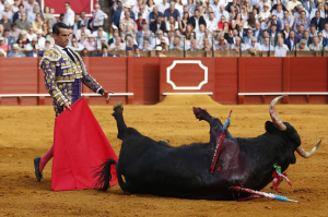 SCJN desecha que estados puedan nombra a la tauromaquia como patrimonio cultural