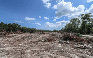 Las obras del Tramo 5 siguen adelante por ser de Seguridad Nacional: Fonatur