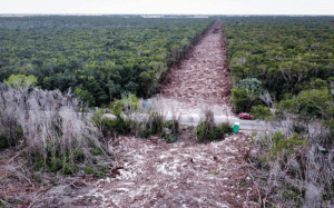 Juez niega suspensión contra la reanudación de las obras del Tren Maya