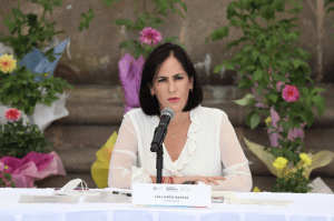 Vamos a eliminar las chelerías y el consumo de alcohol en vía pública: Lía Limón