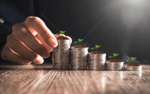 Los ingresos financieros puede mejorar la calidad de las personas